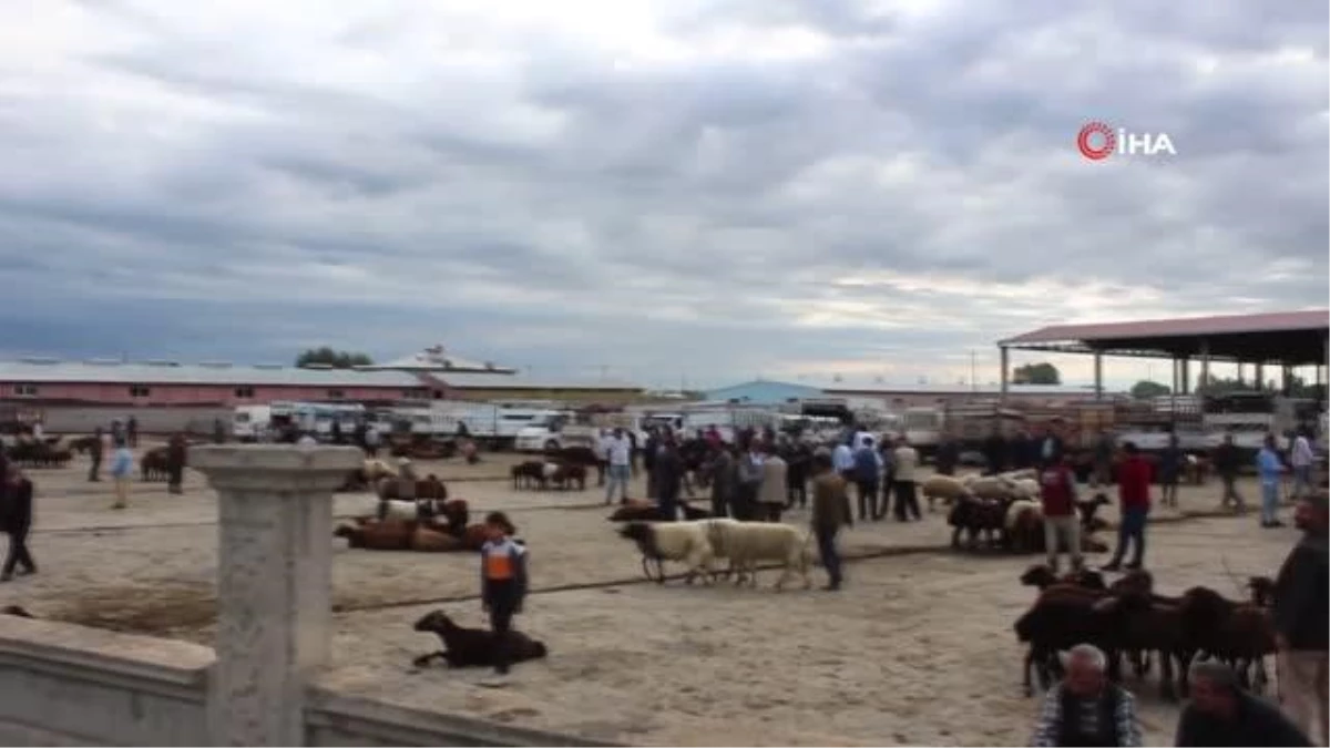 igdir-hayvan-pazarinda-kurban-bayrami-oncesi-durgunluk-lnj1GlI7.jpg
