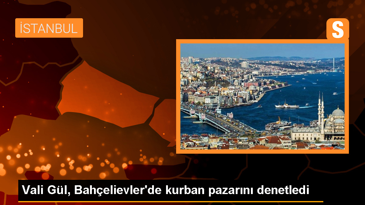 istanbul-valisi-davut-gul-hayvan-pazari-ve-kesim-yerlerini-denetledi-YP3UXtwr.jpg