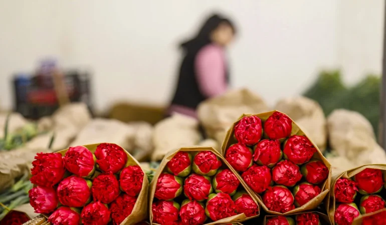 Sevgililer Günü’ne Hazırlık: 30 Ülkeye 75 Milyon Dal Çiçek Gönderildi