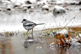 6800f62c56764290__w1200xh806