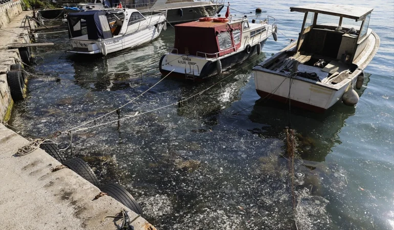 İSTANBUL’UN BEYKOZ SAHİLİNDE MÜSİLAJ YÜKSELİYOR! BALIKÇILAR ZOR DURUMDA