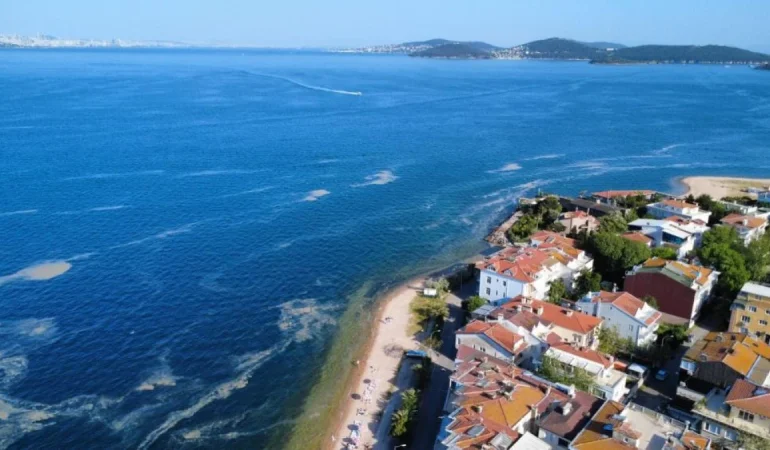 MARMARA’DA MÜSİLAJ KABUSU GERİ DÖNDÜ!