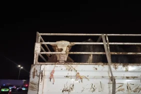 682e632fd2d30323__w1200xh900