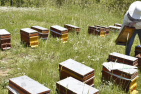 Adsız tasarım (22)