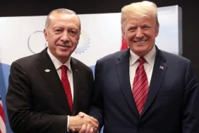 684afc491b1ea396__w1200xh908