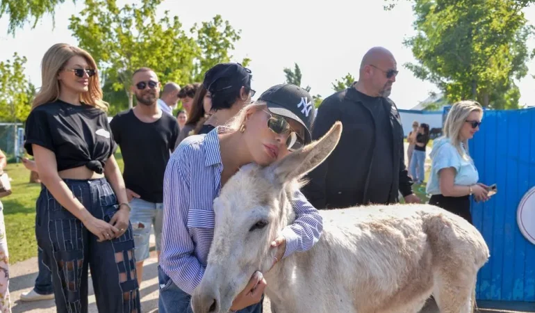 AJDA PEKKAN’DAN YABAN EŞEKLERİ TEPKİSİ: HEP BERABER DELİRECEĞİZ!