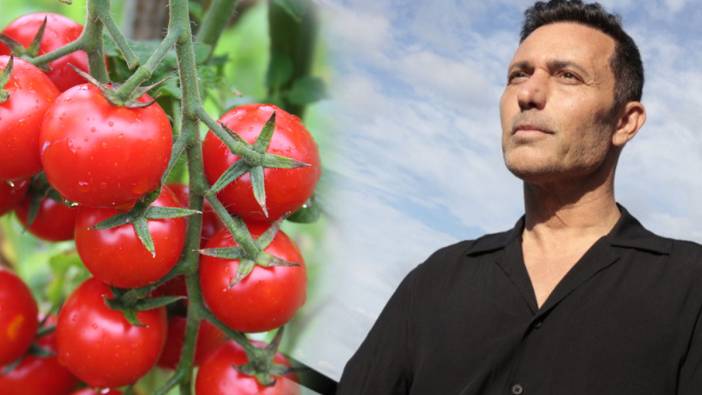 Mustafa Sandal Almanya’da Domates Fiyatlarını Araştırdı: 20 Euro İddiasına Yanıt Geldi