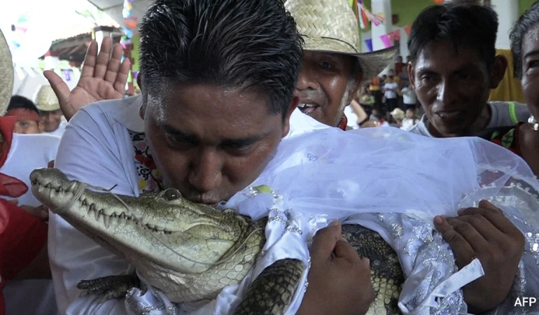 Meksika’da İlginç Gelenek: Belediye Başkanı Timsahla Evlendi
