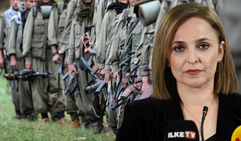 DEM Parti’den Kritik Tarih ve Yer Açıklaması: Silah Bırakma Süreci Başlıyor